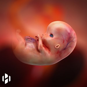 Artificial embryo created in the lab without sperm or egg. | Hashem Al-Ghaili