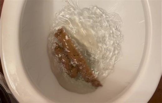 Long turd flush
