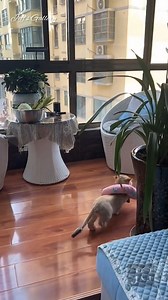 Cuando tienes mucho flow | Jeff's Gallery