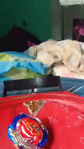 Jann Matthew ordo the bey on TikTok