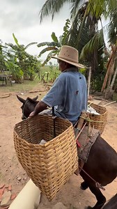 140K views · 7.1K reactions | Já vai pro mato #bibitok | Duda Bibitok | Facebook