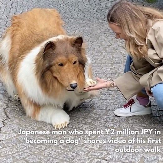 19 comments | Toco aka “I want to be an animal” on YouTube, has just...