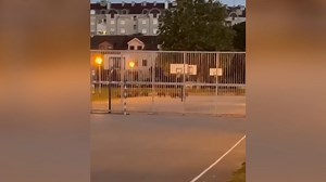 43K views · 266 reactions | Divlje svinje snimljene na školskom igralištu u Zagrebu: Ovo je teški užas! Pročitajte više na: https://bit.ly/3Eresuv | Večernji list | Facebook