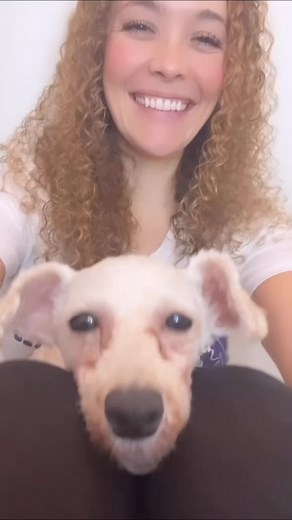 In Defense of Animals • Dog sledding is animal abuse.• #enddogabuse #boycottiditarod #dogsledding #dogs #indefenseofanimals #endtheiditarod #animalliberation #sleddogs #banchaining #dogsarefamily | Stéphanie Gérard