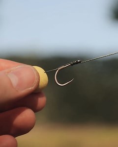 Have you seen the latest product launch from Fox? Pre-order yours here: https://bit.ly/3WXiJhR | Tackleuk