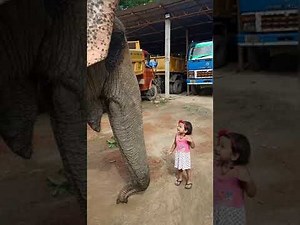 Elephant and baby #elephant