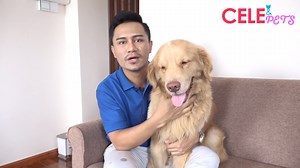"ဒီတစ္ပတ္ "Cele & Pet" အစီအစဥ္​မွာ​ေတာ့ "ေမာ္ဒယ္လ္ ထက္လ်ွံ(Htet Liam)" နဲ႔ သူ႔ရဲ႕အခ်စ္​​ေတာ္​​ေလးအ​ေၾကာင္​းကုိ Myanmar Cele 7 ​ပရိသတ္​​ေတြအတြက္​ ႐ုိက္​ကူးတင္​ဆက္​​ေပးလုိက္​ပါတယ္​။ "ကဲ...ပရိသတ္ျကီး​ဘယ္​လုိခ်စ္​စဖြယ္​ပုံစံ​ေလး​ေတြျမင္​ေ​တြ႔ရမလဲ...??? သူ႔အခ်စ္ေတာ္​ေလးရဲ႕ ထူးျခားခ်က္​ေတြက​ေ​ရာဘာ​ေတြျဖစ္မလဲ​ဆုိတာ ၾကည္​့႐ႈအား​ေပးၾကပါဦး​ေနာ္​..... #MyanmarCele7 | Cele Cele