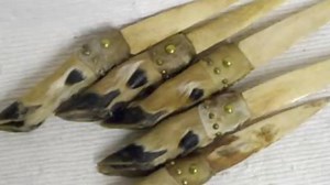 2:51. Paul Revere And The Raiders - Indian Reservation. 🎼 | Domination Blues