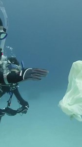 AWARE Week is coming September 16 - 24th. 🌊 The power of PADI AWARE lies in you - passionate dive professionals and operators with a deep connection to the ocean and a desire to protect the places we love. You can host conservation events, teach AWARE Courses and bring the community together this AWARE Week, and beyond. Learn more 👉🏼 http://padi.co/qnpumx | PADI Pros - Europe