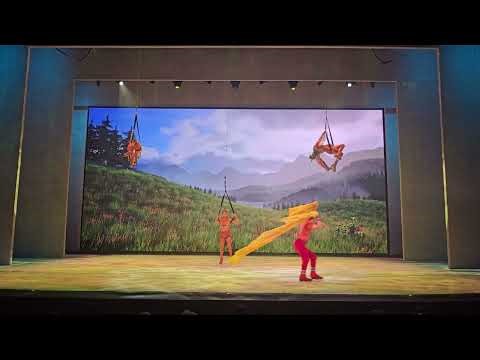 Rhythm of Nature at Busch Gardnes Tampa