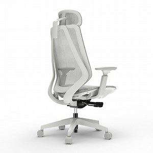 [Hot Item] Ergonomic Mesh Office Chair - Breathable Backrest & Adjustable Lumbar Support Ergonomic Office Chair for Back Support