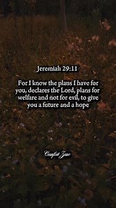 16K views · 1.8K reactions | Jeremiah 29:11 Jeremiah affirms that God is in control, and moreover, He has good things in store: “For I know the plans I have for you, declares the LORD #GodsPlan #Godspurpose #GodsWord | Comfort Zone | Facebook