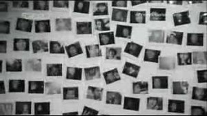 The Organ - Steven Smith