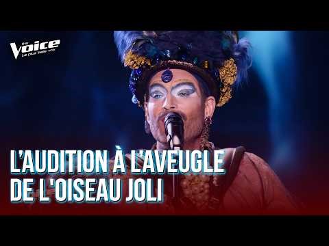 "He Played the Piano Standing Up" by France Gall | The Pretty Bird | The Voice 2026 | Blind Audit...