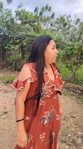 109K views · 2.3K reactions | Mire una pelea de gallos   | India Catracha | Facebook