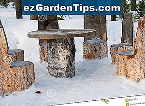 Faits d'arbre de Sassafras 🌱 Conseils Jardiniers - Fr.ezGardenTips.com