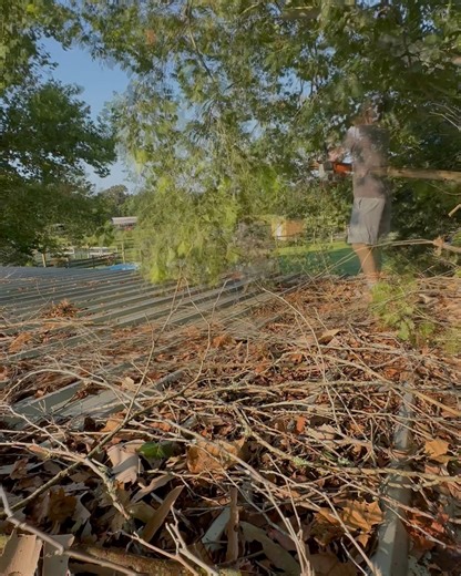 Mom and dad hired a tree service | Shirtless Jake's Homestead