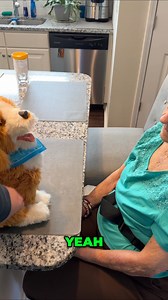 Join us as we explore the fascinating world of robotic pets! An elderly woman interacts with her robotic dog, marveling at its communication and showing affection. Witness the heartwarming bond and discover the joy of robotic companionship! #RoboticDog #RoboticPet #AIpets #FutureTech #DogLovers #TechForSeniors #RobotCompanion #Innovation #PetTechnology #ArtificialIntelligence | I'm Betty