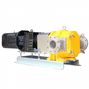 [Hot Item] Petroleum Oil Transfer Roots Pump Lobe Rotor Oil Pump