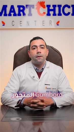 فيروس الجمبورو المتحور (Variant IBDV) يُعد أحد أخطر التحديات التي تواجه صناعة الدواجن في الوقت الحالي، ليس بسبب شدة الأعراض الظاهرية، بل على العكس تمامًا بسبب غيابها في كثير من الحالات. تكمن خطورة هذا النمط في أنه: يهاجم الكتاكيت في عمر مبكر جدًا، في مرحلة يكون فيها الجهاز المناعي غير مكتمل النمو. يستهدف مباشرة غدة فابريشيوس (Bursa)، وهو عضو محوري في تكوين المناعة الدموية، مما يؤدي إلى تثبيط مناعي عميق وطويل الأمد. يؤثر سلبًا وبشدة على الاستجابة للتحصينات الأخرى (مثل النيوكاسل، IB، H9)، حتى وإن 