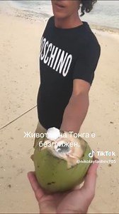 KEEP STREAMING TONGA BY MC BIG PHIL #CORNERSTONE AFROBEAT ALBUM IS ON ROUTE TO YOUR PLAYLIST ... HAUNNTED MUSIC | Haunnted Music Group