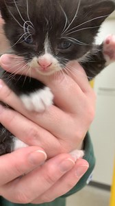 Tri-County Humane Society on Reels | Facebook