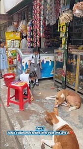 Part 1 | Ronok&Rahnuma Feeding Stray Dogs with Love🐶❤️ #straydogs #kindness #humanity #ronokrahnuma