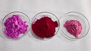 Health Food Supplement Natural 95% OPC Anthocyanin Powder Organic Bulk Grape Seed Extract Powder