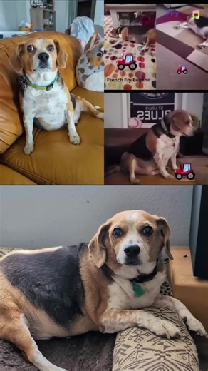 Mary Schultz on TikTok