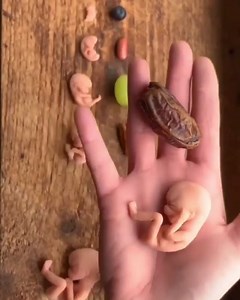 12 semanas de embarazo Desarrollo del Bebé Tu bebé ya tiene algunos reflejos. Por ejemplo, si tocas tu vientre reaccionará moviéndose, aunque tú todavía no lo puedes notar. También tiene otro reflejo muy importante para cuando nazca: el reflejo de chupar, que le ayudará a alimentarse. Si pudieras tomarlo en la palma de tu mano verías que tiene el tamaño de un limón. Ahora mide más o menos 5 centímetros. Mientras tanto, sus células nerviosas se están multiplicando muy deprisa y se están formando 