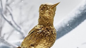 The Hunger Games tease prequel