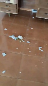 220K views · 3K reactions | Así vivió una joven de #Acapulco los momentos de tensión durante el sismo. | Solo Acapulco | Facebook