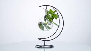 Ornament Display Stand Air Plant Stand Iron Hanging Stand Flower Pot Stand Rack Holder for Hanging Glass Globe Witch Ball Terrarium Christmas Ornament and Home Wedding Decoration(Black) (Moon)