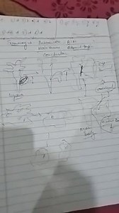 Do You Know? Parthenogenesis is a form of asexual reproduction ... | Filo