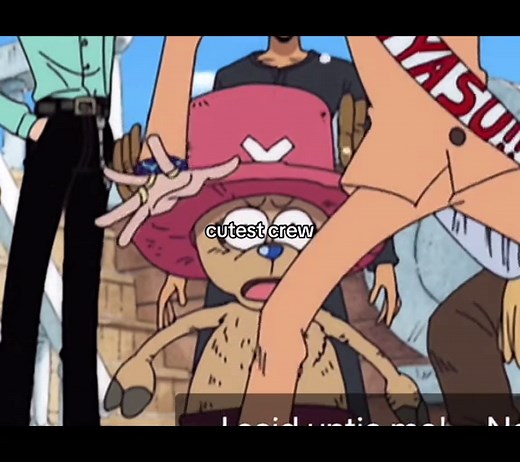 Chopper's Cutest Moments in One Piece Anime