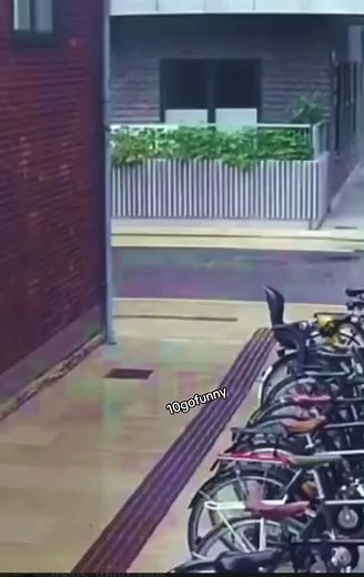 ¡Diviértete con Gofunny!