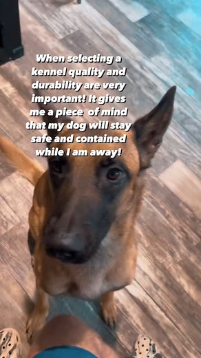 "Having a kennel you can trust is so important! Especially when you have had escape artist dogs in the past . Nova used to have the worst separation anxiety, she would escape her kennel and chew through my drywall when we would leave. Thankfully through training and a quality kennel like the high anxiety kennel nova no longer has anxiety when we leave. Some of my favorite things about impact kennels are the size and color selection, and durability. Kai is one of our largest dogs and finding a ke