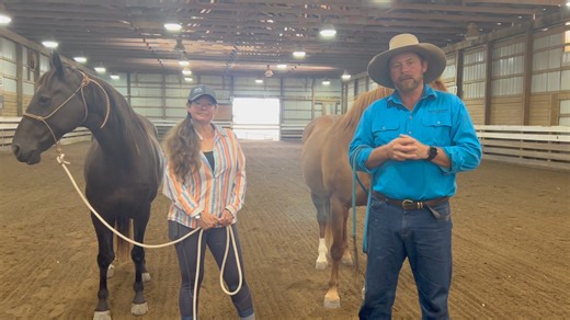 Hello from Greenville Virginia | Mark Langley Horsemanship