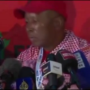 Report Focus International on Reels