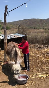 Canción mixteca | Héctor Sánchez