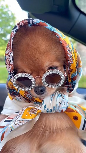 Coffee in hand, shopping bags in the other ☕️🛍️ | Call It Spring