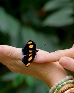 9.8K views · 137 reactions | This was such a unique experience! | Brave Wilderness | Facebook