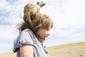 Botswana’s unmissable national parks are truly wild - Lonely Planet