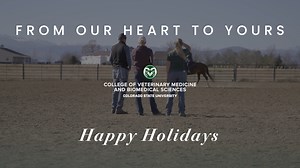 In this college, we are one heart bound by our shared passion for veterinary medicine and biomedical science. The many communities that make up CVMBS keep us united and supported. This winter season, we wish everyone happy holidays. | CSU College of Veterinary Medicine and Biomedical Sciences