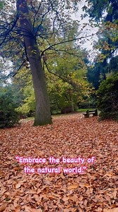 Woodland walk #fyp #reels #viral #Amazing #Nature #woodland #walking #chhathpuja #summerstyle #chrisrock #championsleague | Joyce Schofield