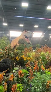 2.2K views · 107 reactions | Today is Sonoma County Fair OPENING DAY! Come STOMP, ROMP, and CHOMP with our Dinosaurs today! ALL TICKETS available at sonomacountyfair.com Aug 03-13th Don't miss the FUN. | Sonoma County Fair & Event Center | Facebook