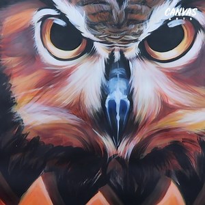 28K views · 590 reactions | Now this owl looks like he means business  | Canvas Arts | Facebook