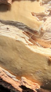 How to Fix Dry Chicken: Quick Tips for Juicy White Meat