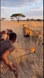 Brave Tribe Men Protecting Their Land 🏹🌾💪 • • • • • #tanzania #travel #serengeti #africa #tanzaniasafari #zanzibar #trending #datoga #hunting #bushmen #travelafrica #africantribes #fyp #tiktok #primitiveskills #ngorongori #tanzanianationalparks #primitive_technology #wildlife #trendig #dance #tiktoktanzania #trendingvideos #primitive #travelbucketlist #dancechallenge #beachvibes #dancewithpubgm #primitivesurvival #visitdubai | Tribe Life