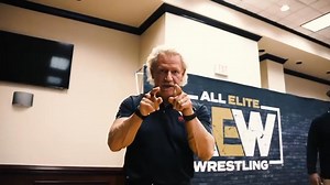 Pro Wrestling Tees on Reels | Facebook